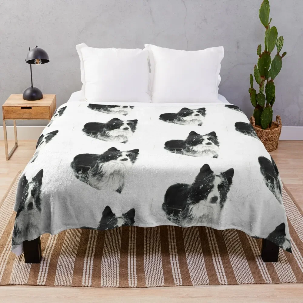 Working Winter Collie Throw Blanket Hairys manga Blankets