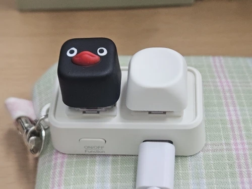 실물 포토 리뷰