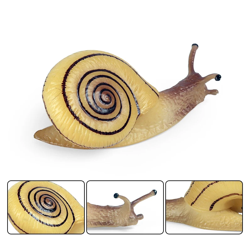 Oenux Wildes Insekt Tiere Schnecken Wachstumszyklus Modell Gartendekoration Figuren PVC Miniatur Niedliche Bildung Kinderspielzeug – Detail 7