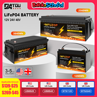 DATOUBOSS LiFePO4 Battery 12V24V48V 100Ah200Ah300Ah 8000+ Cycles Built-in Smart BMS for Solar Home RV UK US Stock Fast Shipping