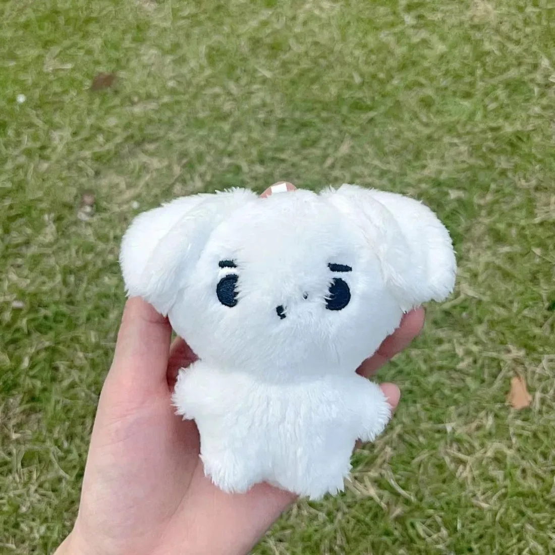 Kpop peluche JUNGWON HEESEUNG JAY JAKE SUNGHOON juguetes de peluche llavero Kawaii colgante de dibujos animados accesorios bolsa regalo para