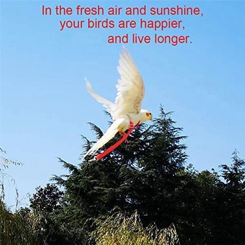 New User~Parrot Bird Harness Leash Outdoor Flying Traction Strap Flying Training Rope Kit for Bird Parrot -Black XS