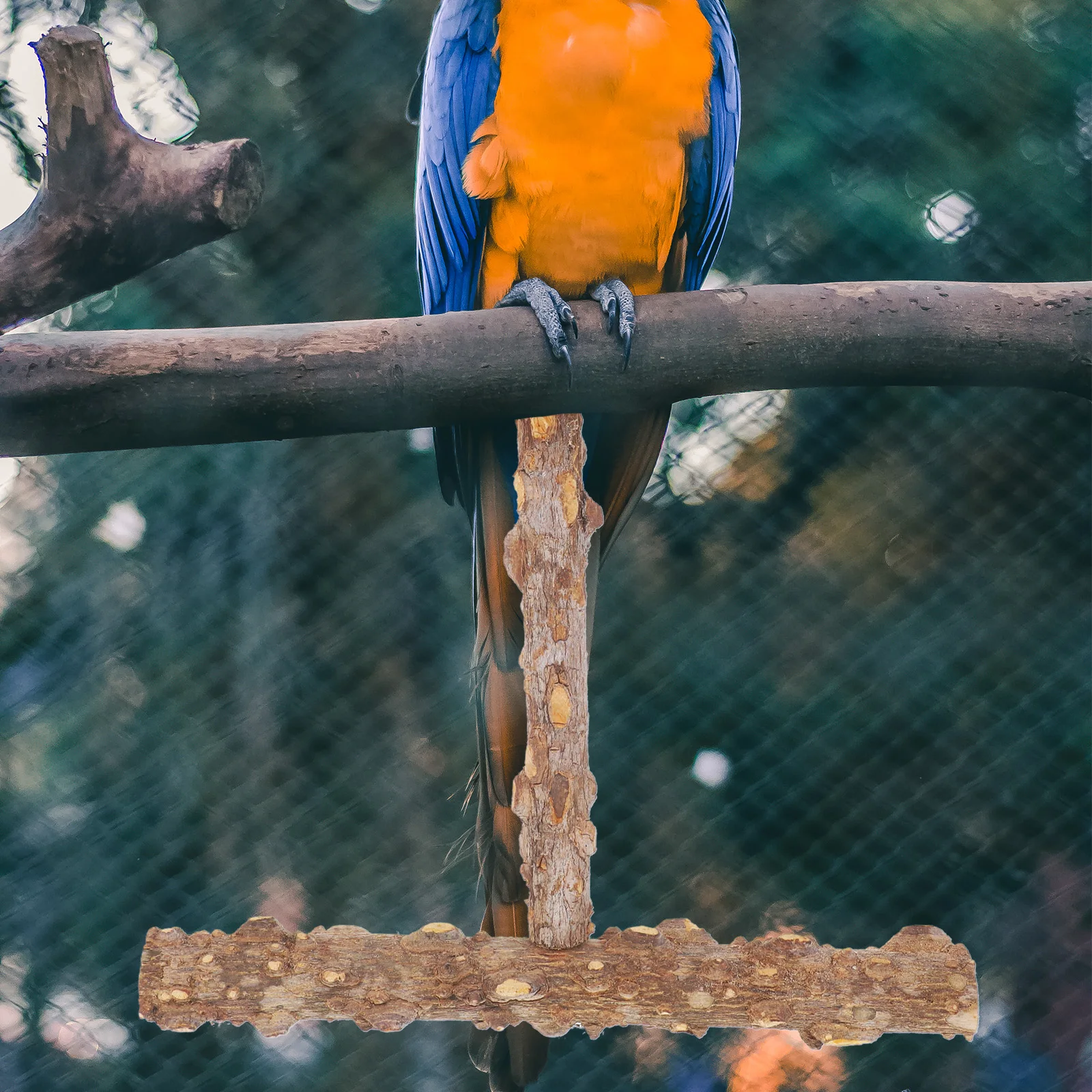 

Parrot Swing Bird Toys Sturdy Wood Branches Bite Resistant Long Lasting Pet Birds Gifts Families Friends Small Bird Companion