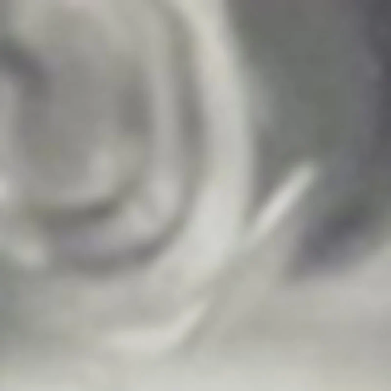 110V/220V Meat Grin…