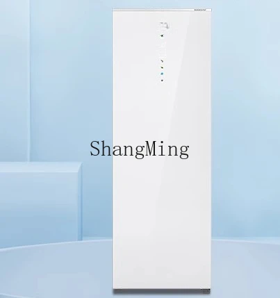 ZYY piccolo congelatore verticale ad alta efficienza energetica di prima classe raffreddato ad aria per uso domestico congelatore a conversione di frequenza commerciale