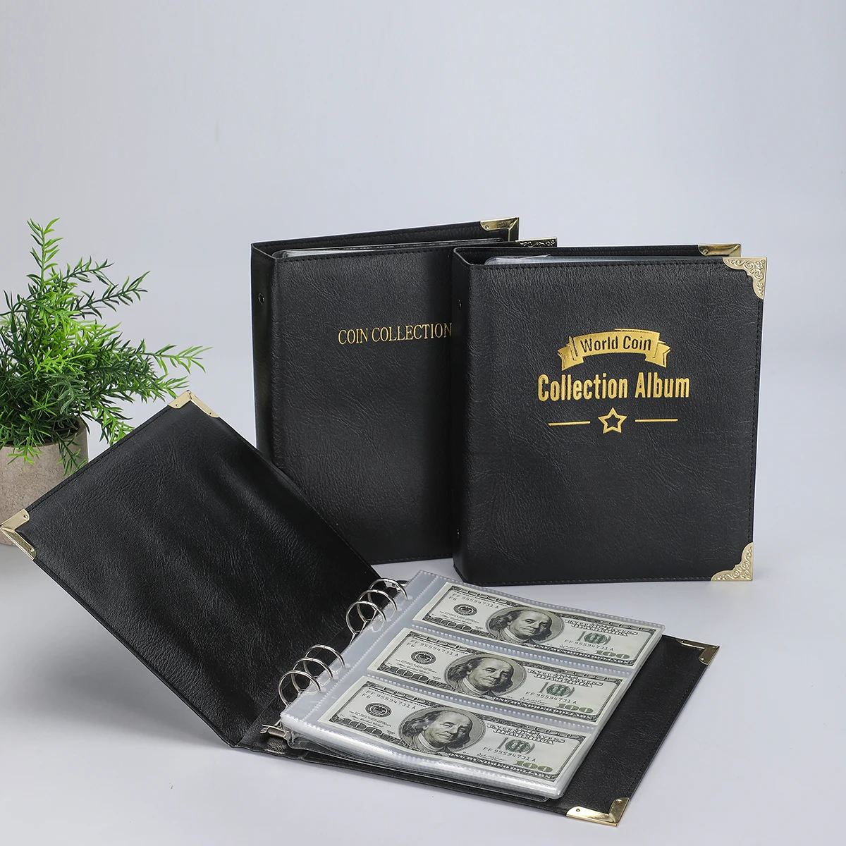 Buch zur Aufbewahrung von 1 Münzen, Banknoten, Stempeln und Auszeichnungen, ausgestattet mit 10 Innenseiten/200 Fächern, 20 Banknoten/60 Fächern