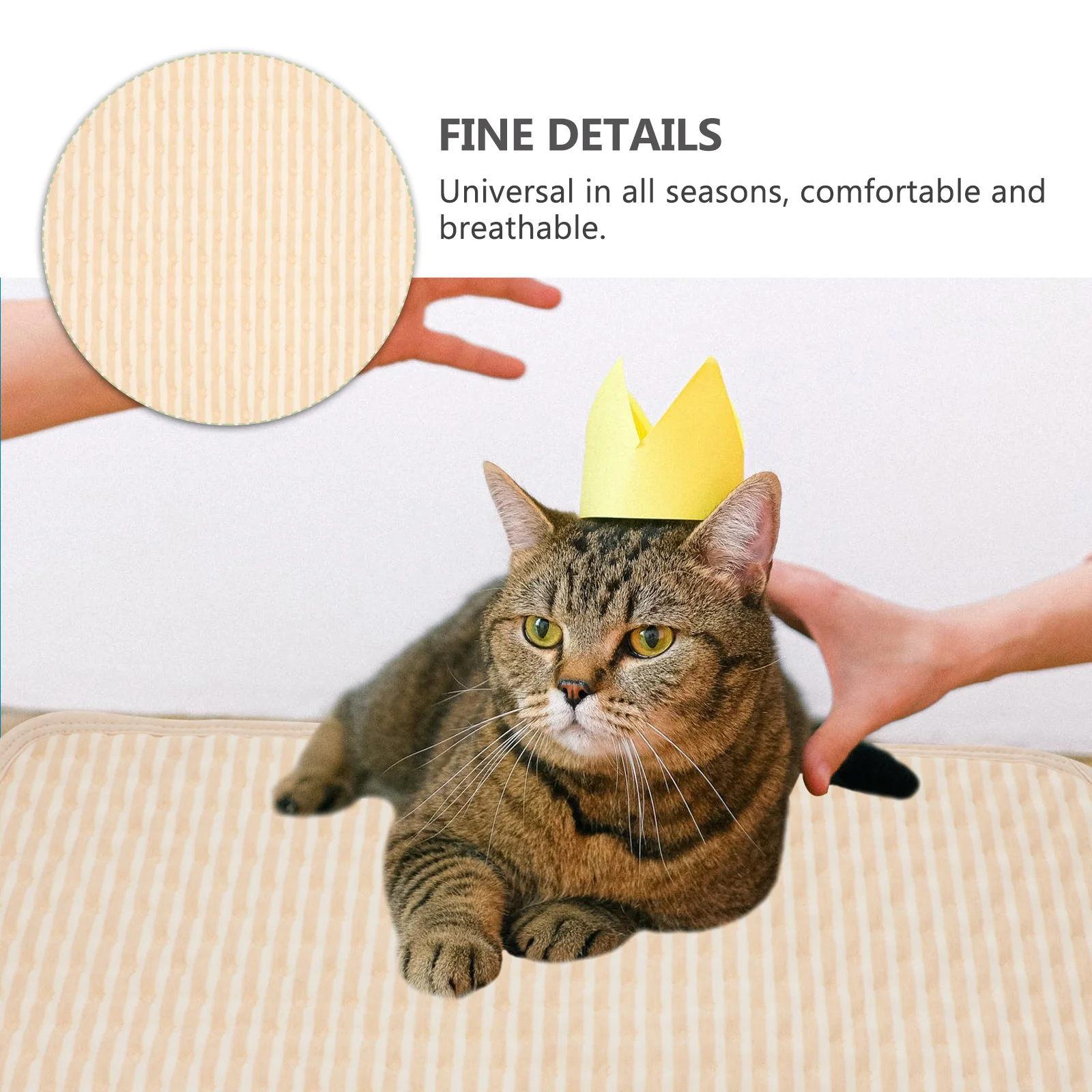 

2Pcs Reusable Dog Pee Pad Waterproof Absorbent Puppy Training Pet Pad Cotton Mat for Indoor Outdoor Cotton Pee Pads