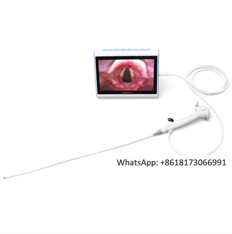 Animal/pet endoscope/gastrointestinal/foreign body retrieval/abdominal cavity