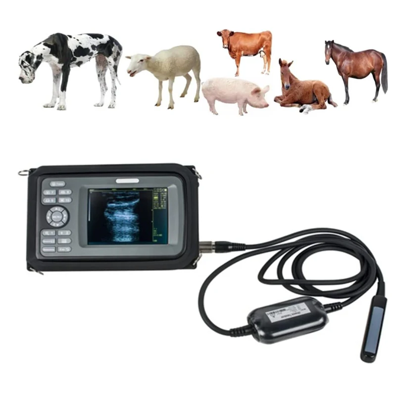 Cheapest Full Digital Veterinary Ultrasound Scanner Portable Handheld Animal Portable Handheld Ultrasound Machine