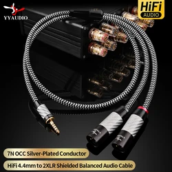YYAUDIO 4.4mm 5-Pole to Dual XLR Male Balanced Cable 7N OCC Silver-Plated Hi-Fi Audio for DAP DAC Amplifier Studio Monitor