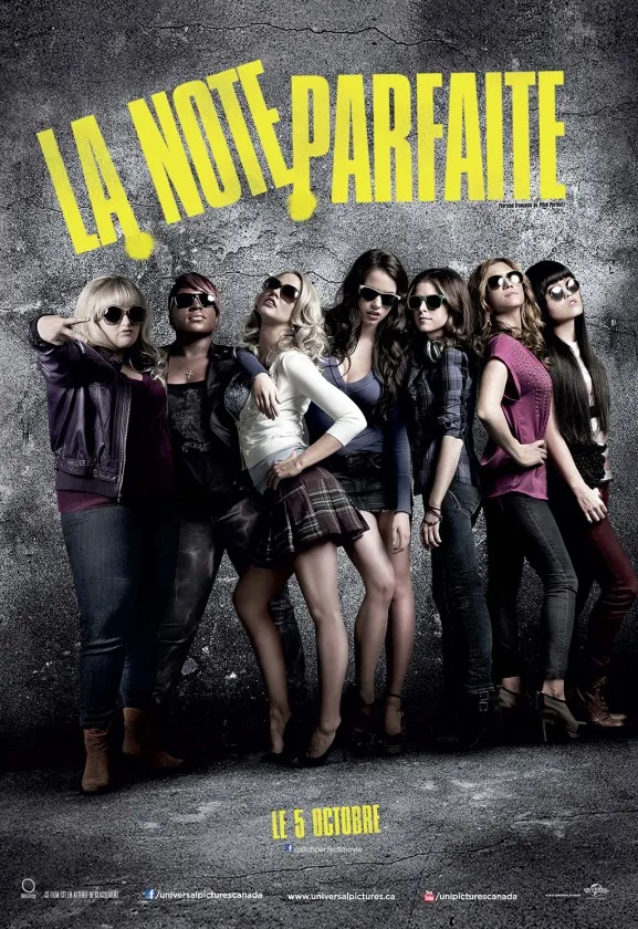 Hot Rare Movie Pitch Perfect 2012 Art SILK POSTER Wall Art Home Decorative painting view 6