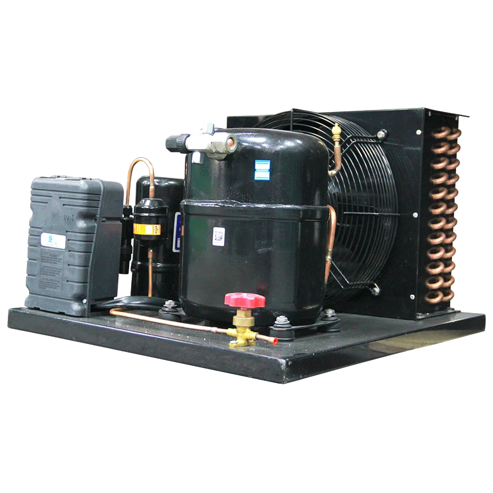 220V-240V 50Hz  Condensing Unit 2hps tecumseh Compressor Cold Room