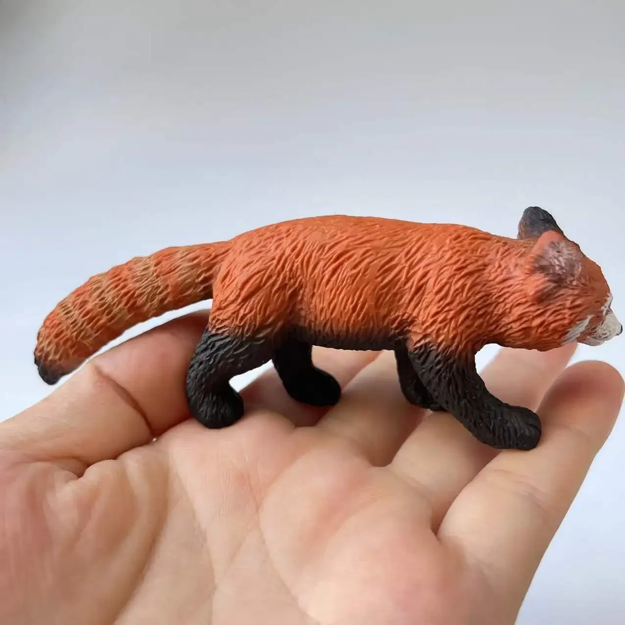 Bandai-Serie de animales de simulación salvaje para niños, Panda Rojo, juguete de modelo de figura de Animal estático, ciencia cognitiva, regalo de Adorno