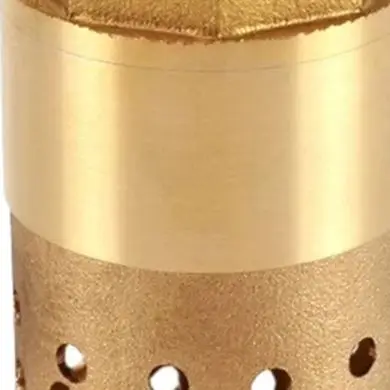 For Garden Irrigation 1 Inch Brass Foot Valve Foot Valve With Mesh Filter Debris Blocking Filter Standard NPT Thread