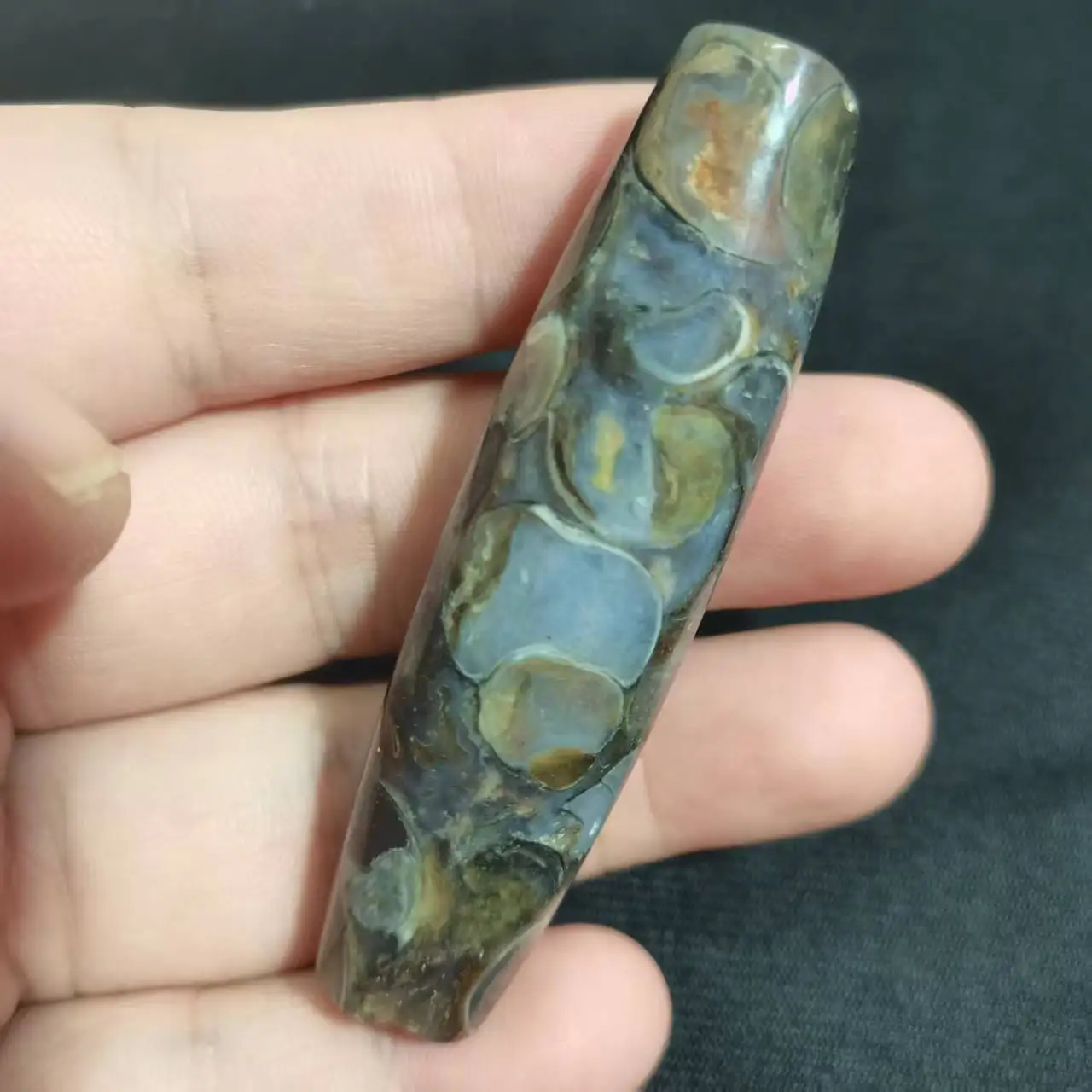 

Powerful Conch Shell Dzi Beads DIY Amulet Bracelet and necklace a hundred years before sea couch