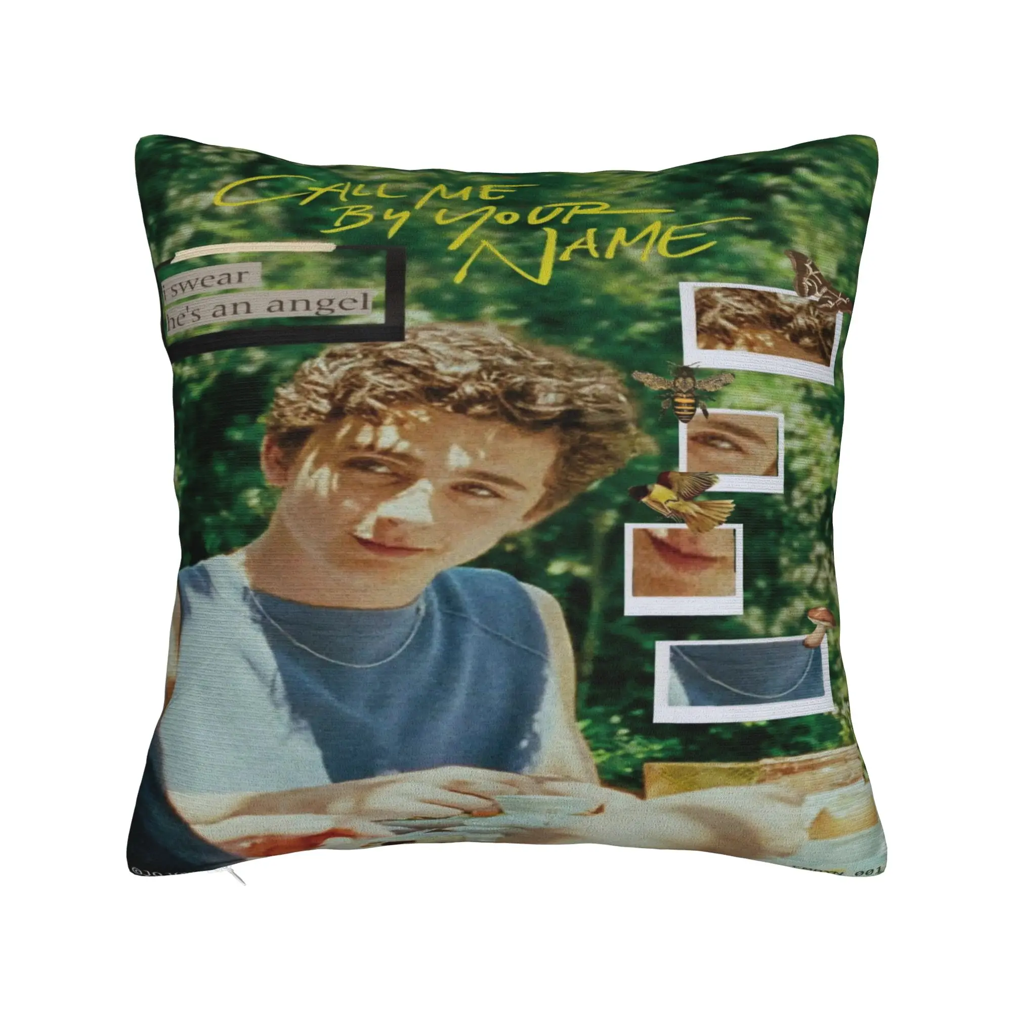 Soft and Sweet Home Call Me by Your Name Decoration Pillowcases Accessories  Pillow Covers Zippered Multi-Size