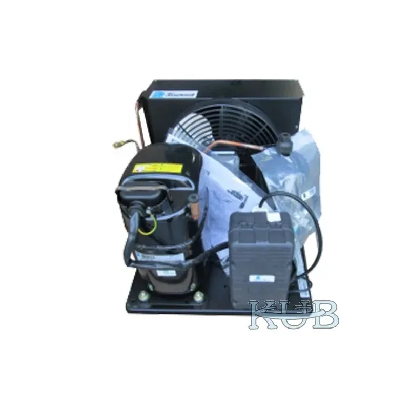 

CAJ4519 Compressor Refrigerator R134a and Electric Motor 220v for Condensing Unit