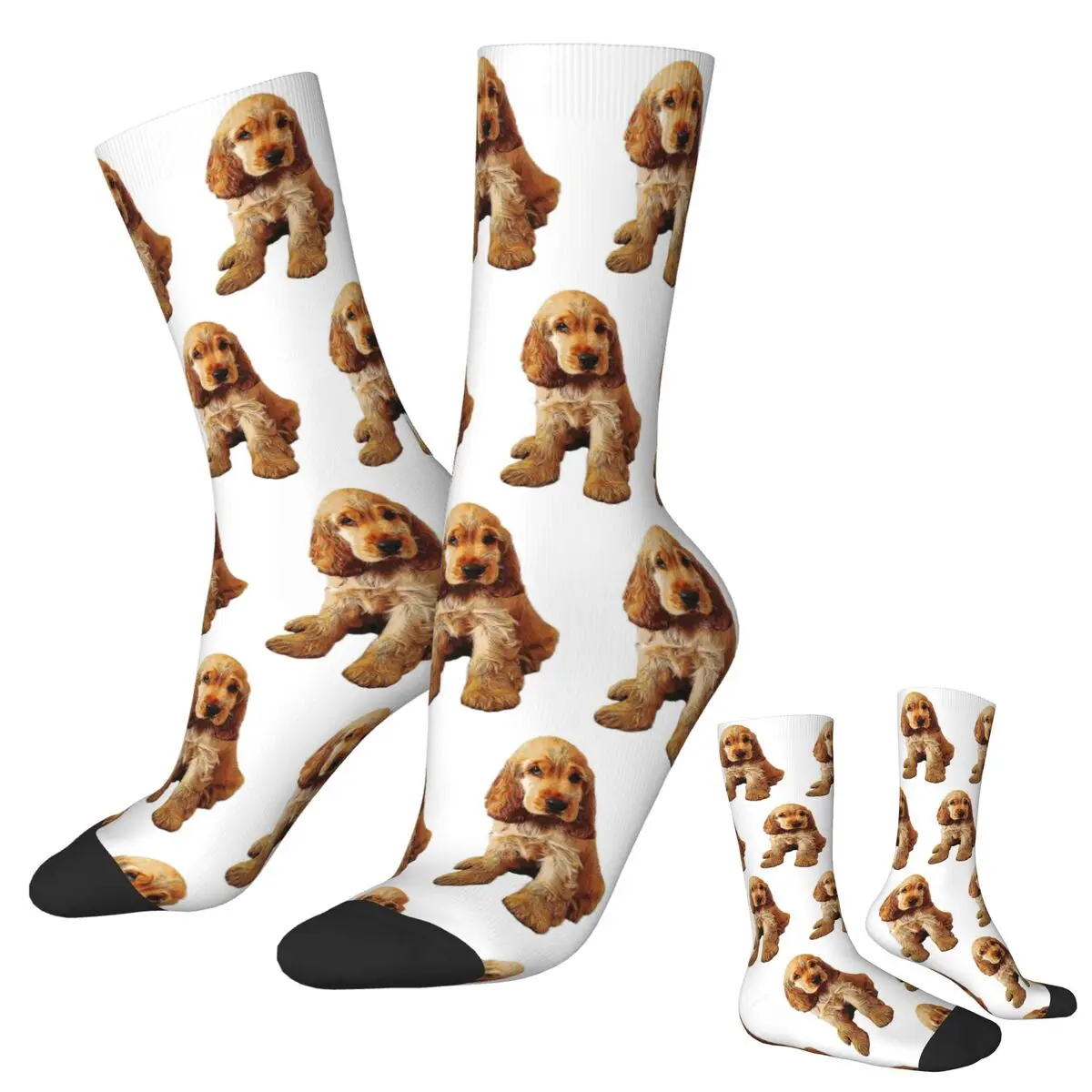 

Золотые носки для щенков-кокеров-спаниелей в стиле Харадзюку, впитывающие пот чулки, всесезонные длинные носки, аксессуары, подарок на день рождения унисекс