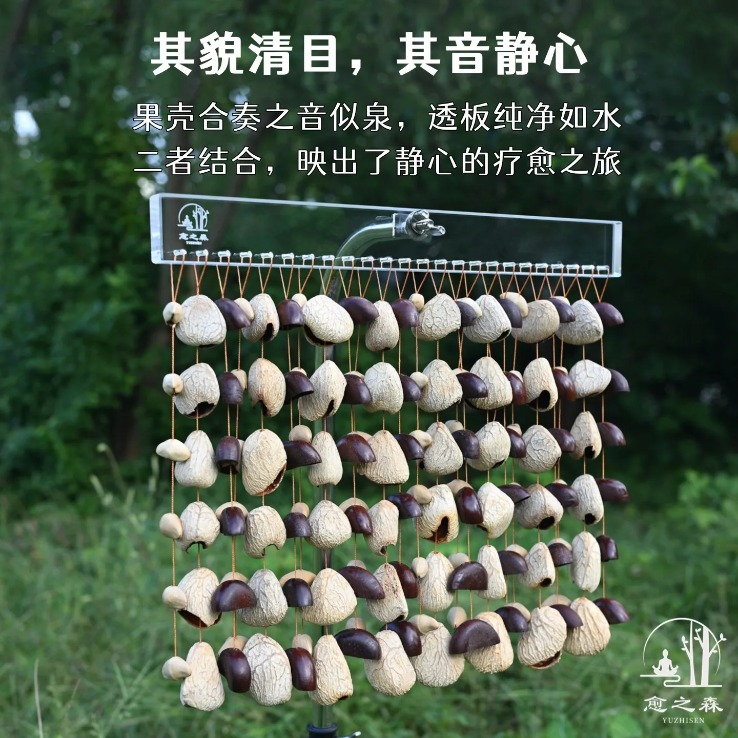 Crystal Beam Fruit Rattle, Plant Fruit Music Backing Track, Hand Rattle Meditation Musical Instrument Fruit