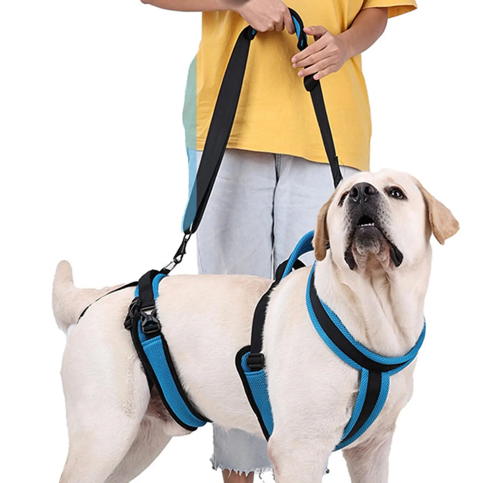 Dog Lift Harness Protective Gear Auxiliary Pet Leash Elderly Dog Support Sling Lifter Disabled Dog Walking Auxiliary Belt