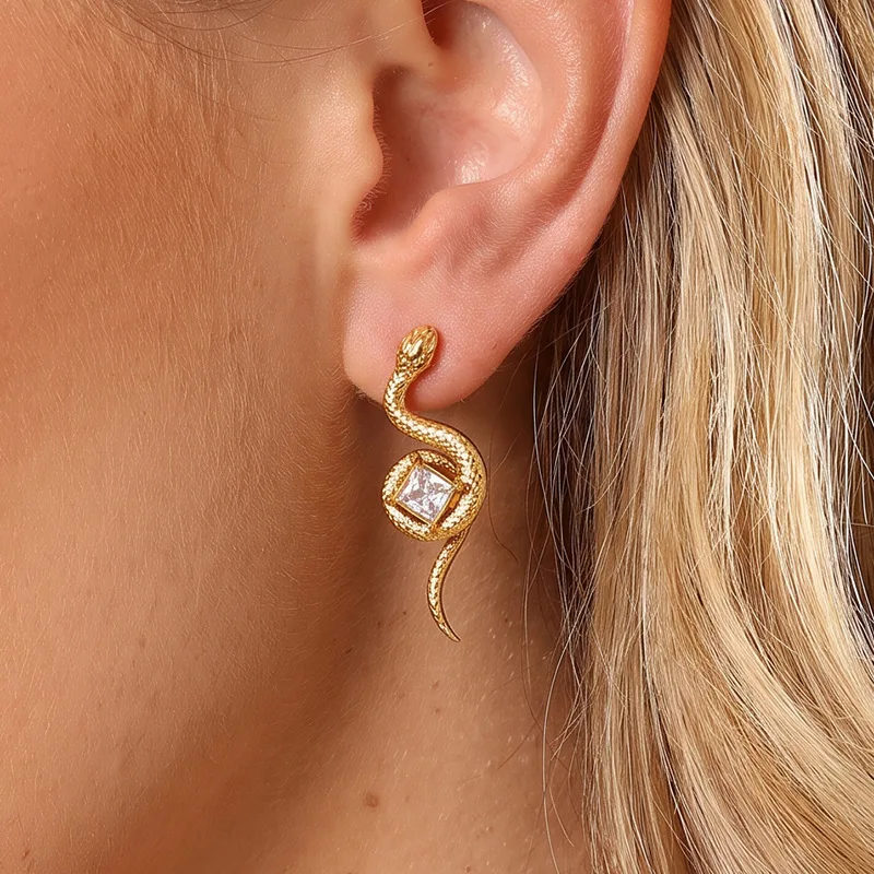 Vintage Snake Shape Dangle Earrings Women Stainless Steel Square Zircon Versatile Commute Ear Jewelry