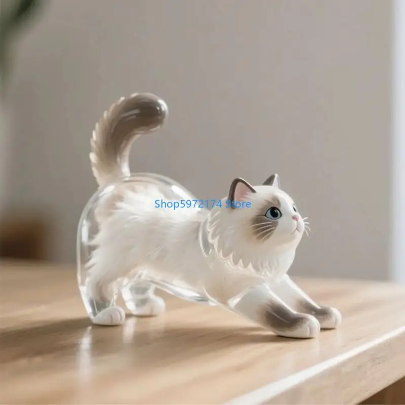 Y3NB Stylish Plastic Clear Cats Furs Storage Box Unique Homes Decors For Showcasing Pet Hair Collection Container Ornament