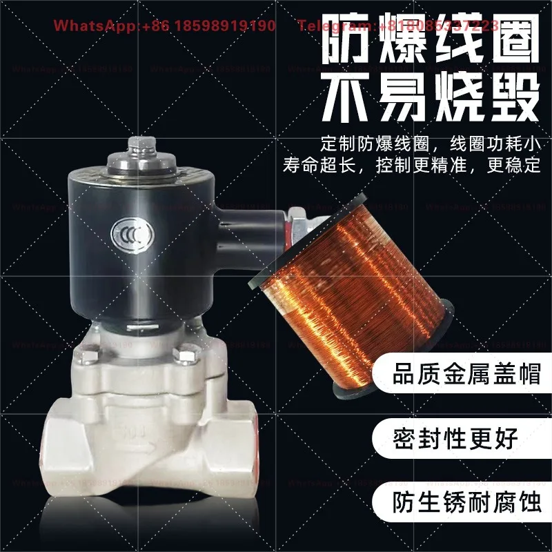 1.6MPa 2.5Mpa Stainless Steel Explosion Proof Solenoid Valve Thread Connection Normally Closed Open Type 220V 24V