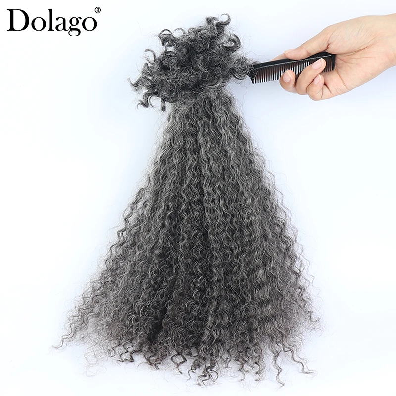 

4A Kinky Curly Microlocs Hair Extensions 100% Human Hair Braids Bulk Hair For Braiding Salt And Pepper Grey Silver Colorful Hair