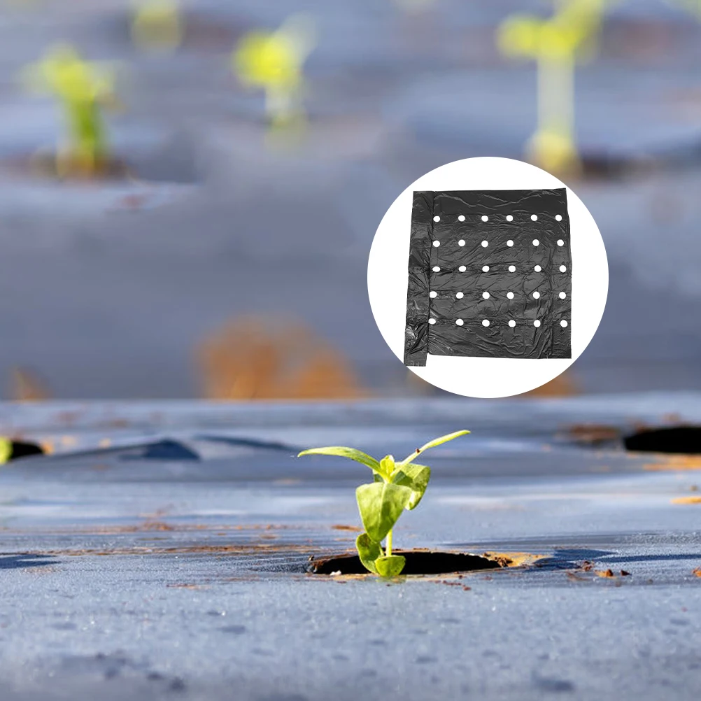 

2 Pcs Chlorophytum Insulated Perforation Film Garden Greenhouse Insulation Cover