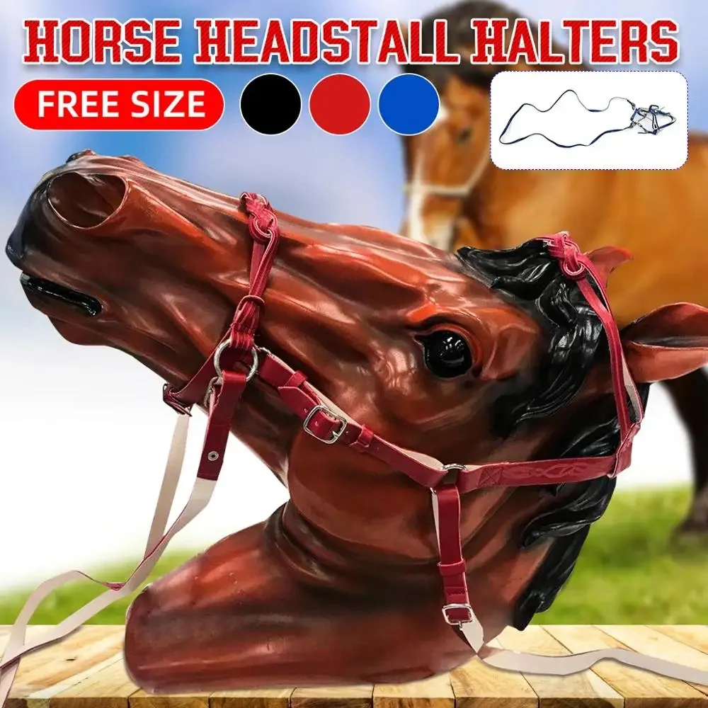 Gallop Padded Leather Flash Bridle with Rubber Reins Shetland Pony Cob Horse