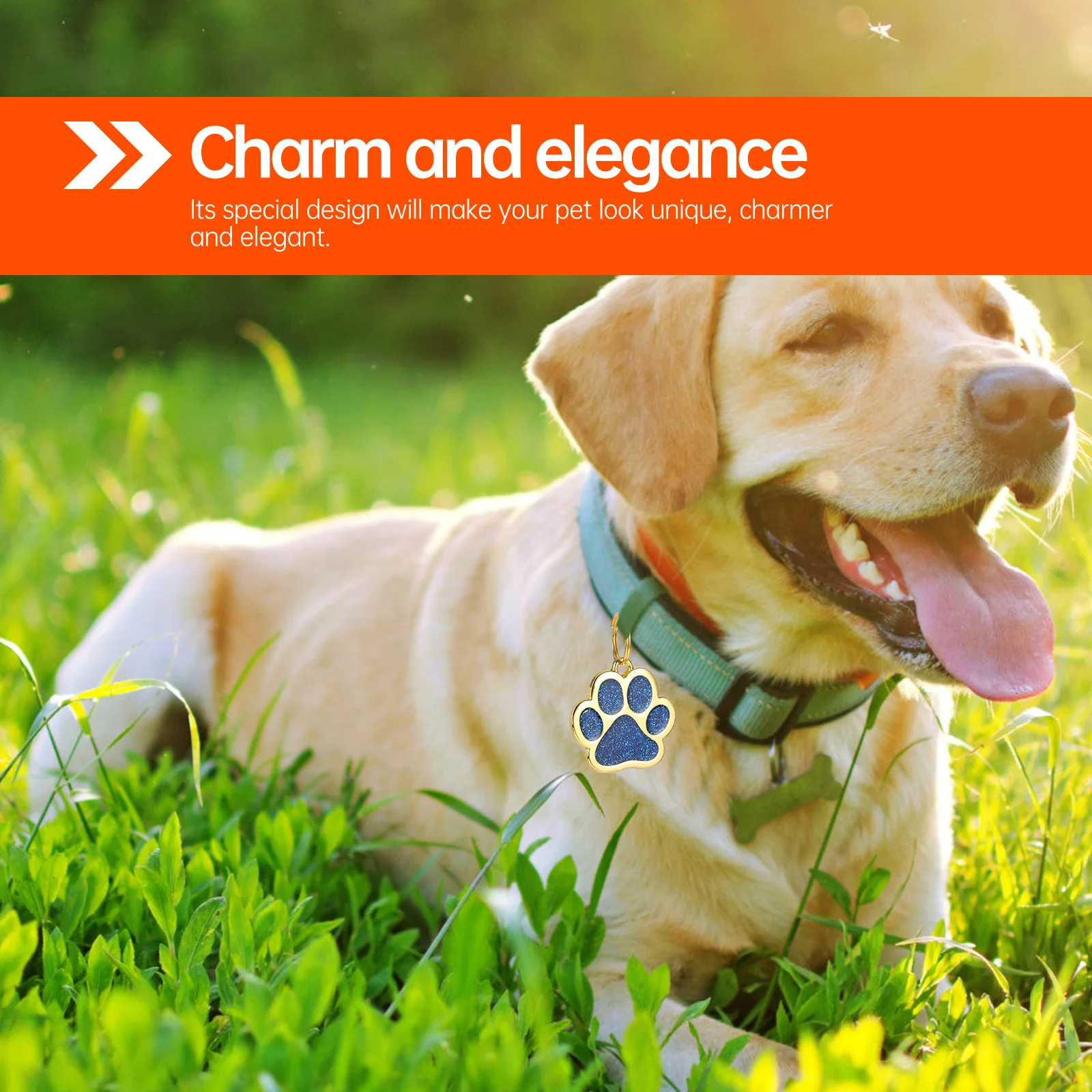 

3Pcs Personalized Zinc Alloy Paw Print Dog Tags Pet Id Hangings Engraved Name Number Address Zinc Alloy Pet Tag