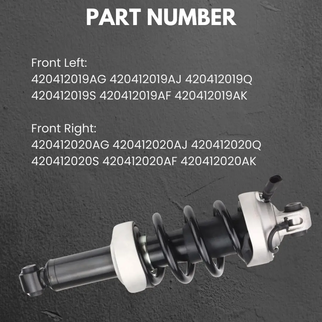 1X Front Left&Right Shock Absorber Assy for Audi R8 09-15 420412019AJ 420412019Q 420412020AJ /020Q 420512019S