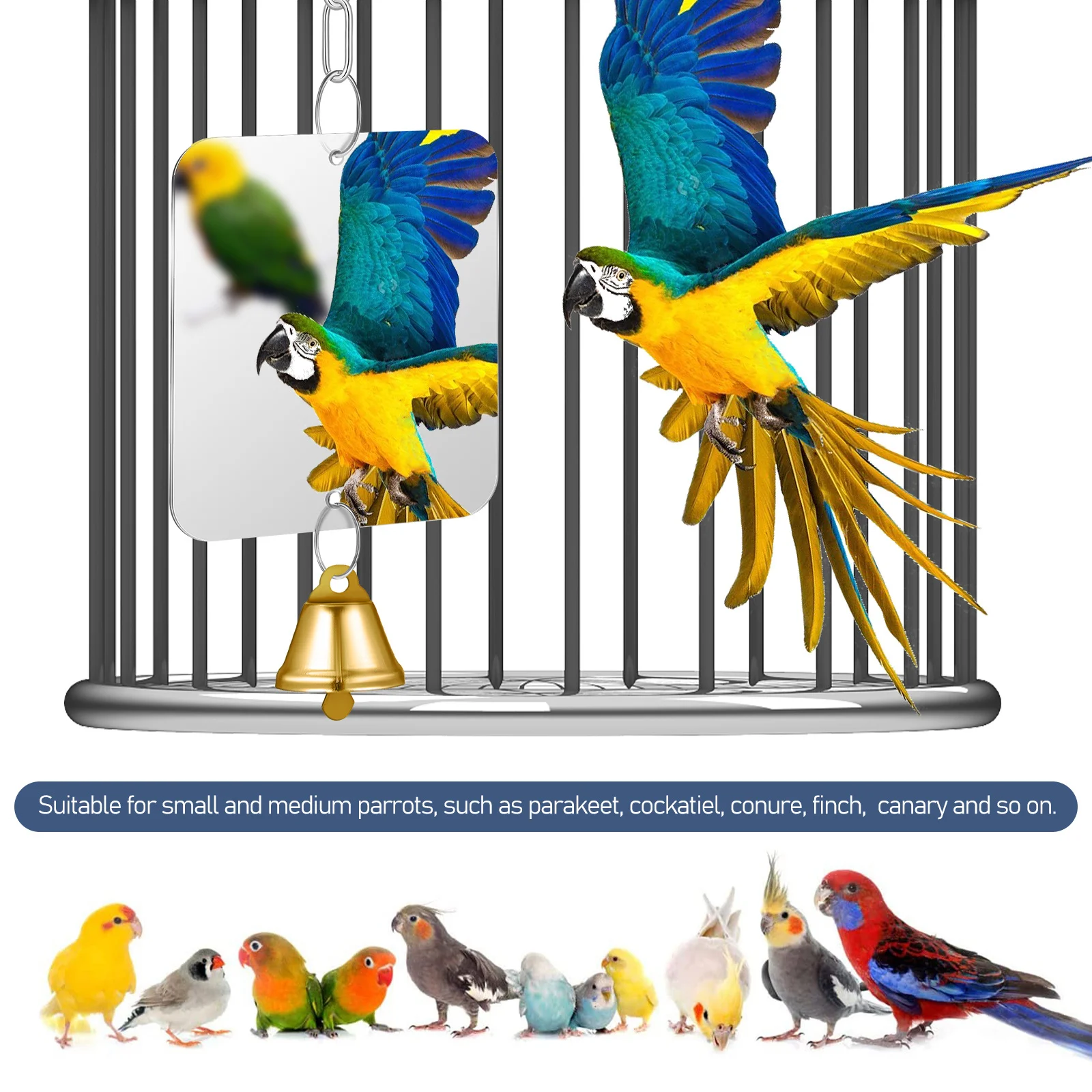 

2pcs Hanging Swing With Bell Parrot Cage Accessories For Small Medium Birds Durable Acrylic Shatterproof Stainless Steel Chain