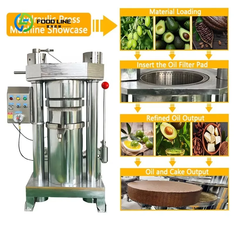 Customized Small Cold Press Oil Machine Automatic Stainless Steel High Oil Yield For Peanut Sesame Soybean CE