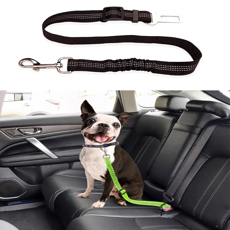 Thumbnail 2 - #20 Best Dog Car Safety Harnesses to Buy In 2026