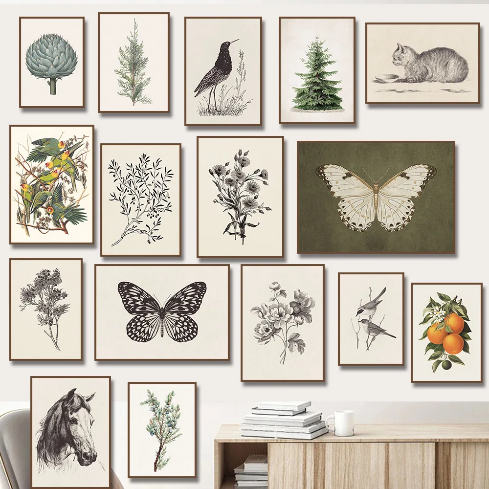 2026 Orange Tree Olive Branch Sketch Flower Bird Butterfly Horse Canvas Painting Print Poster for Wall Art Living Room Home Dec