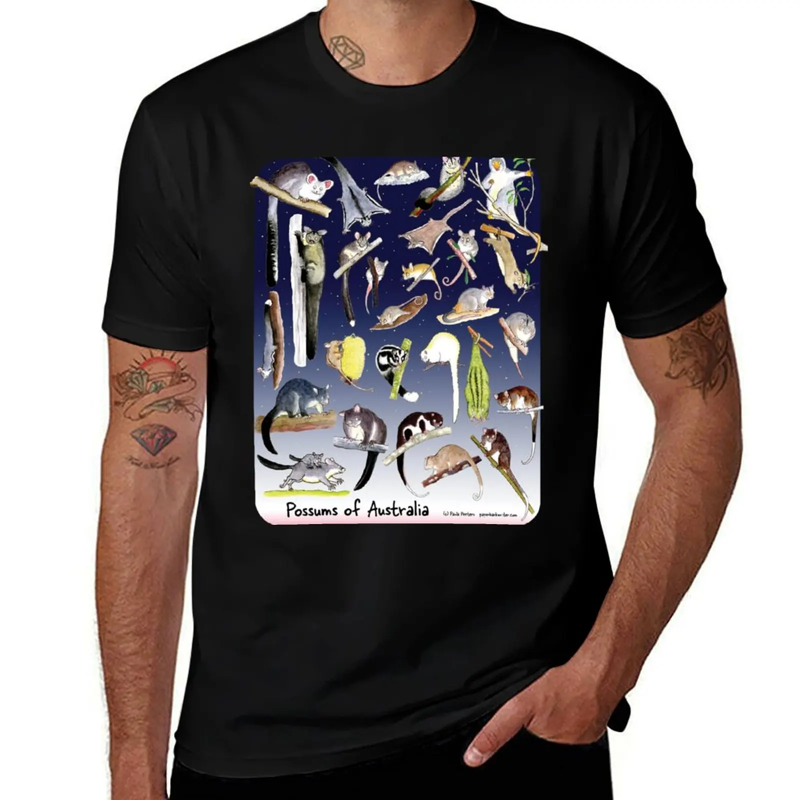 Possums of Australia night sky T-Shirt Plus Size Summer Short Sleeve T-Shirt