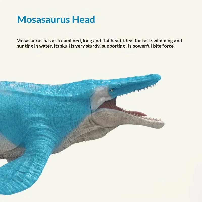 لعبة ديناصور التنين الرائعة نموذج واقعي هدية لشخصية الحركة للأولاد والبنات ألعاب وهوايات قابلة للجمع