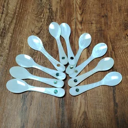 3 PCS Shell Caviar Spoons Mother of Pearl Caviar Spoons Round Handle for Caviar, Egg, Ice Cream, Coffee, Restaurant Serving