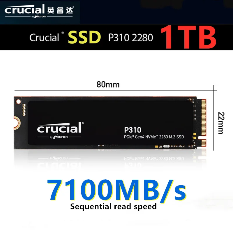 Crucial P310 CT1000P310SSD8 JP Review: A High-Performance SSD for