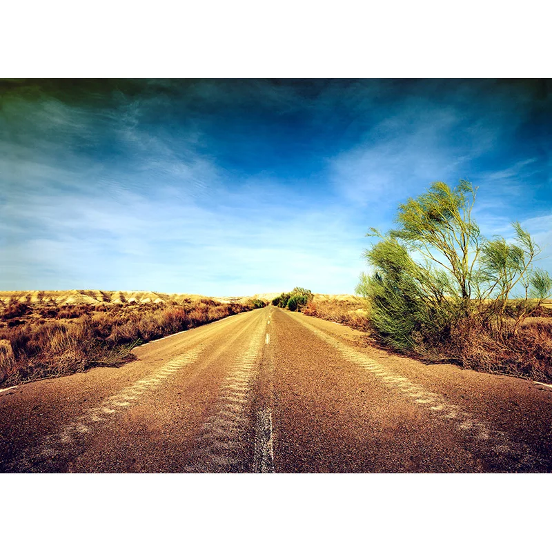 Fondo de fotografía de paisaje Natural de carretera, telones de fondo de vinilo de paisaje de viaje, accesorios de estudio, 2162 TKGL-03