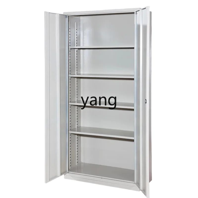 

TGF two-door document iron office cabinet with lock financial accounting voucher cabinet through iron door