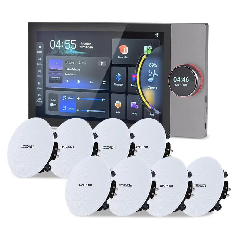 Q10pro 10 Inch Touch Smart Home Gateway WiFi Connectivity IPS Panel Built-in Amplifier