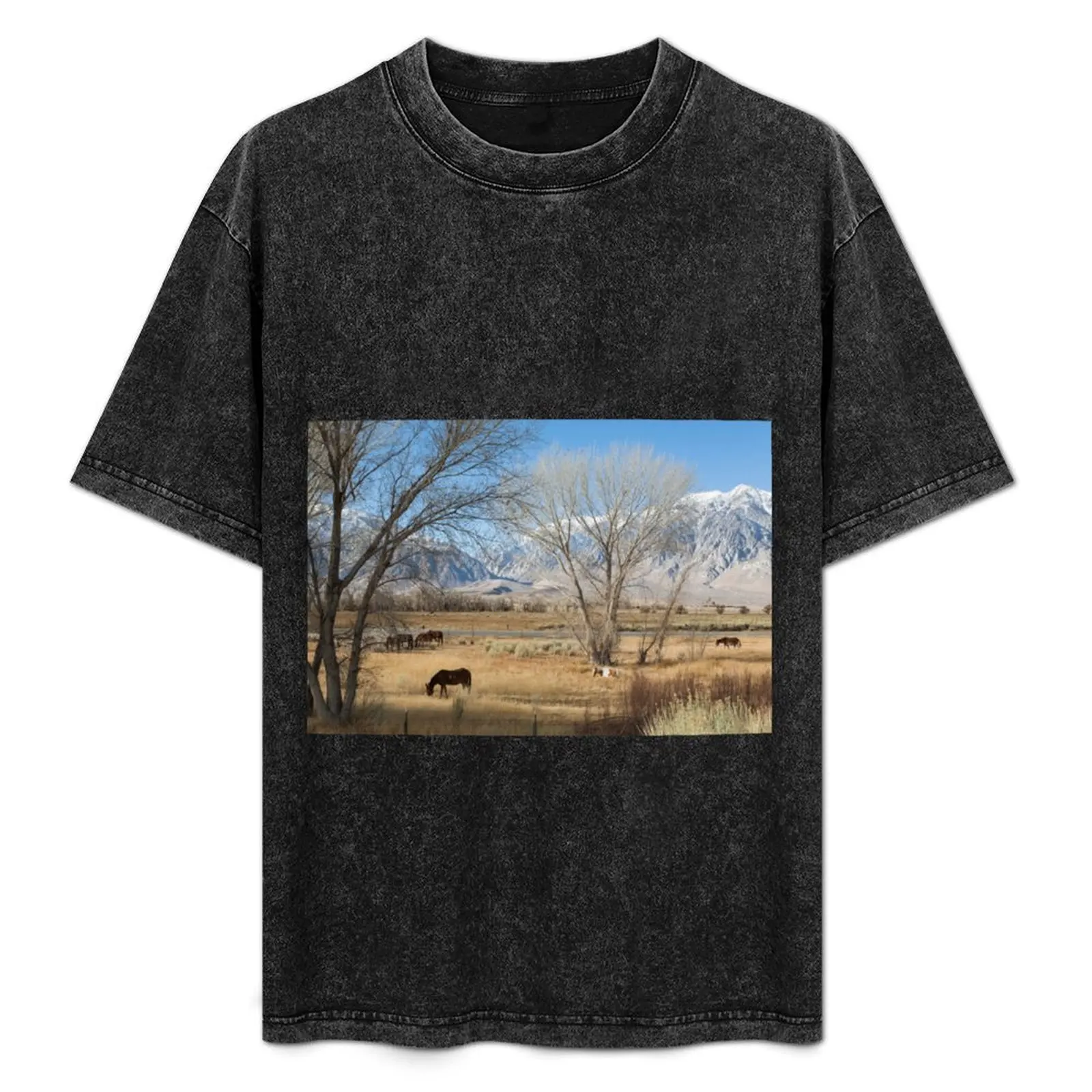 Horses Grazing In A Meadow T-Shirt designer shirts boys whites baggy shirts cotton t shirt men