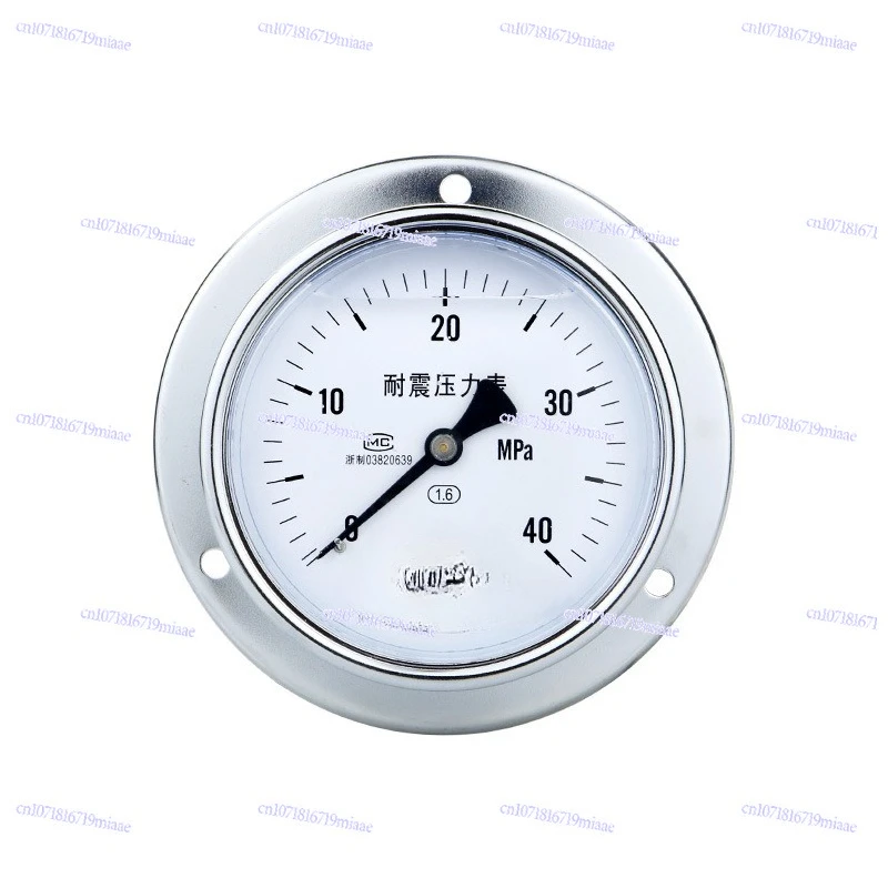 Supply M20 * 1.5 Thread Axial Belt Edge Seismic Pressure Gauge YN100ZT Stainless Steel Seismic Pressure Gauge