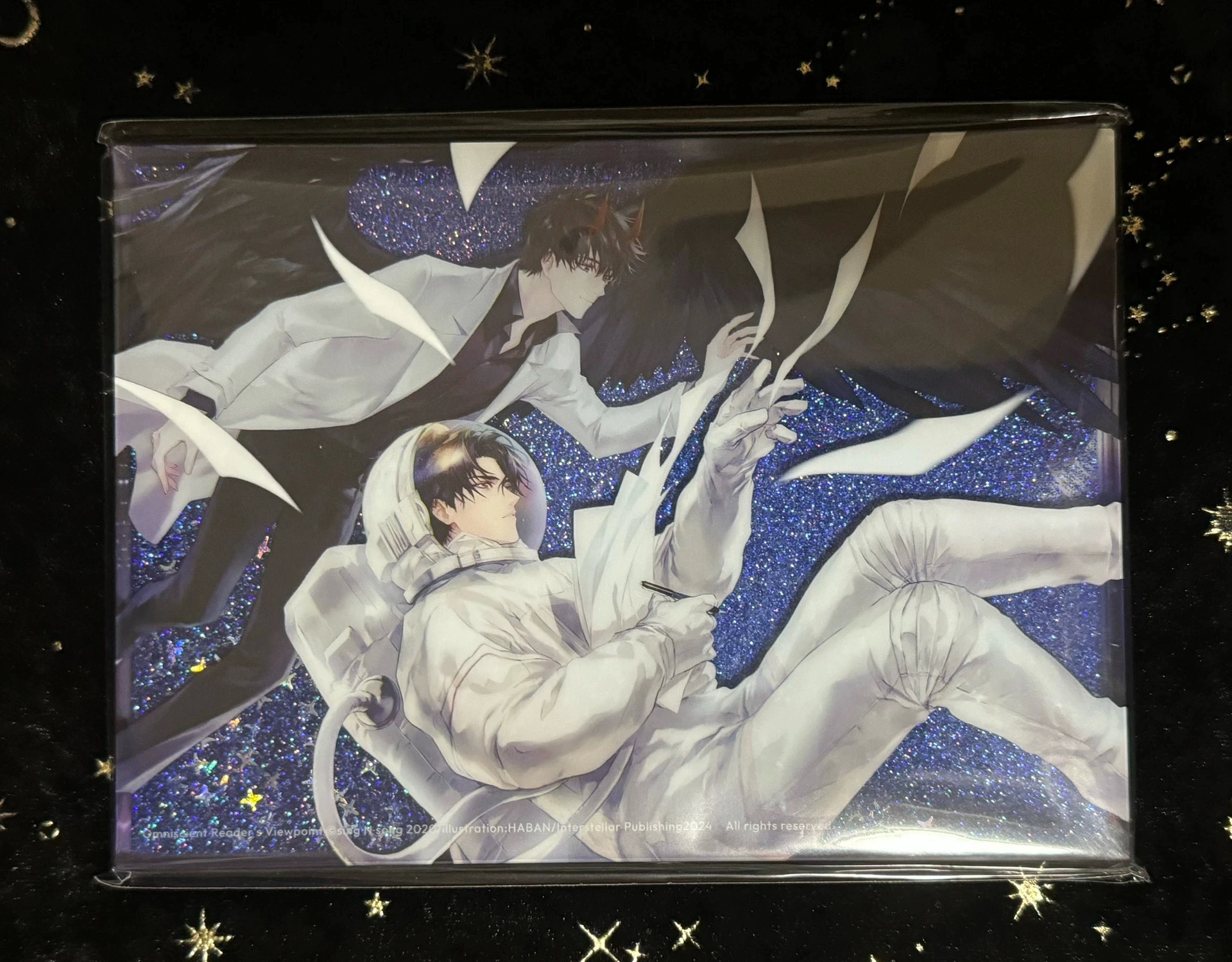 Chinese Novel Omniscient Reader's Viewpoint Sing N Song 11-12 Glitter Block