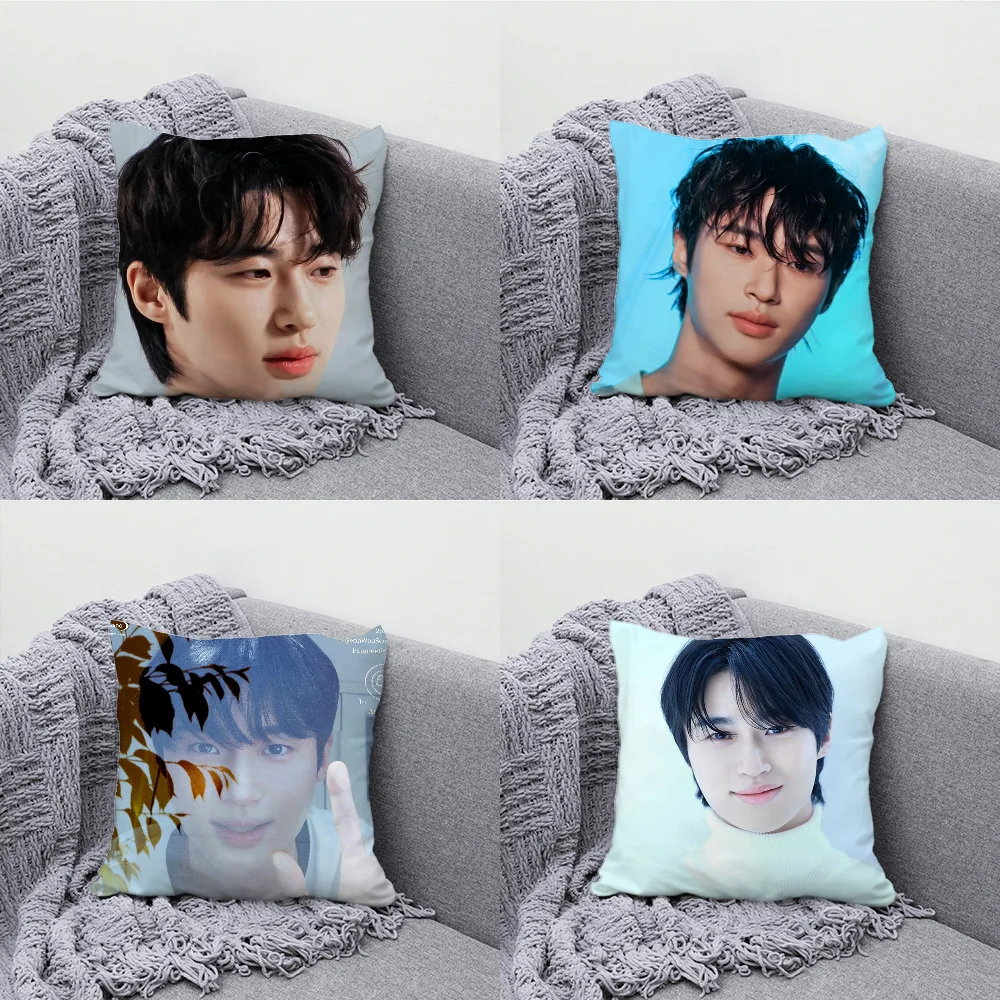 

Byeon Woo-seok Korea Pillow Case Soft Cushion Cases for Farmhouse Sofa Decor Home Decorations and Protector Pillow Case