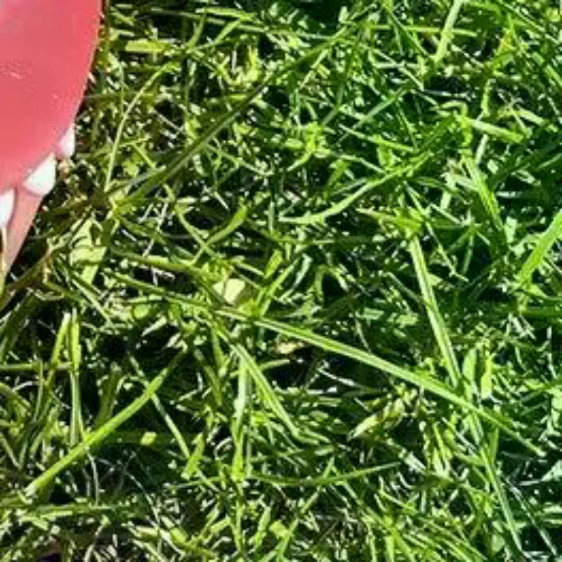 

Мягкая и милая игрушка-акула, меняющая цвет, забавная новинка, игрушка для сжимания, меняющая цвет при воздействии солнечного света