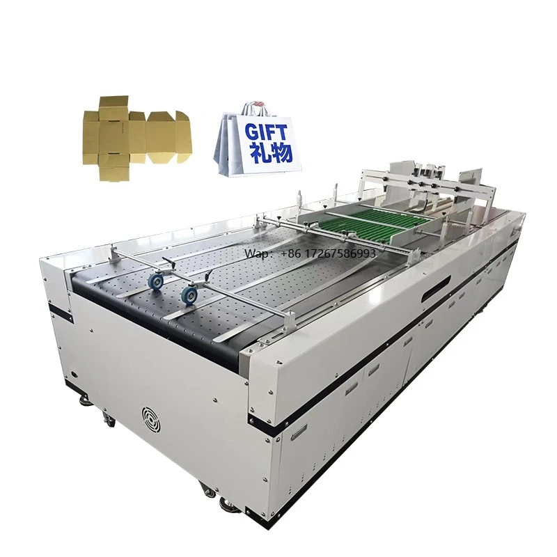 High Speed Automatic Pouch Paging Feeder Conveyor Machine for Bags/Cartons/Boxes Data Printing