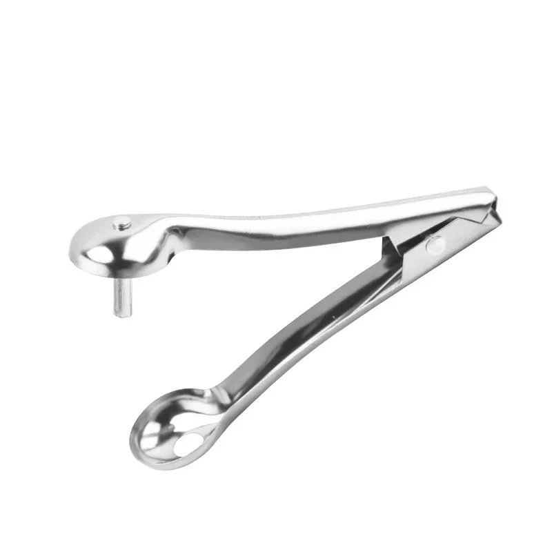 Stainless Steel Jujube Corer Hawthorn Corer Household Cherry Carrion Picker Kitchen Tool Cut Fruit Kitchen Accessories